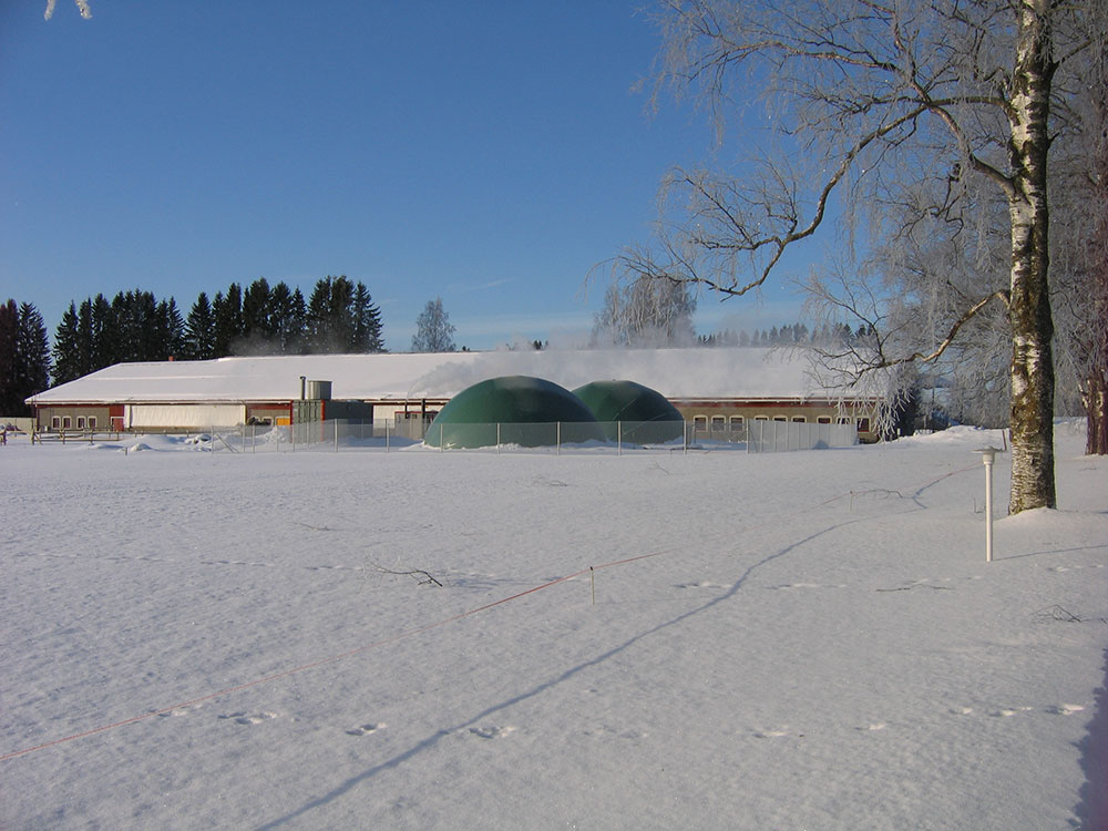 Farm-scale biogas plant on a Finnish dairy farm with 100 cows. Biogas plant in the front and the cowhouse behind (photo Auvo Sairanen).